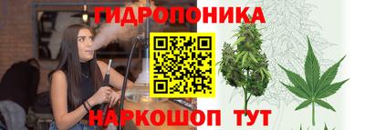 дурь Нальчик