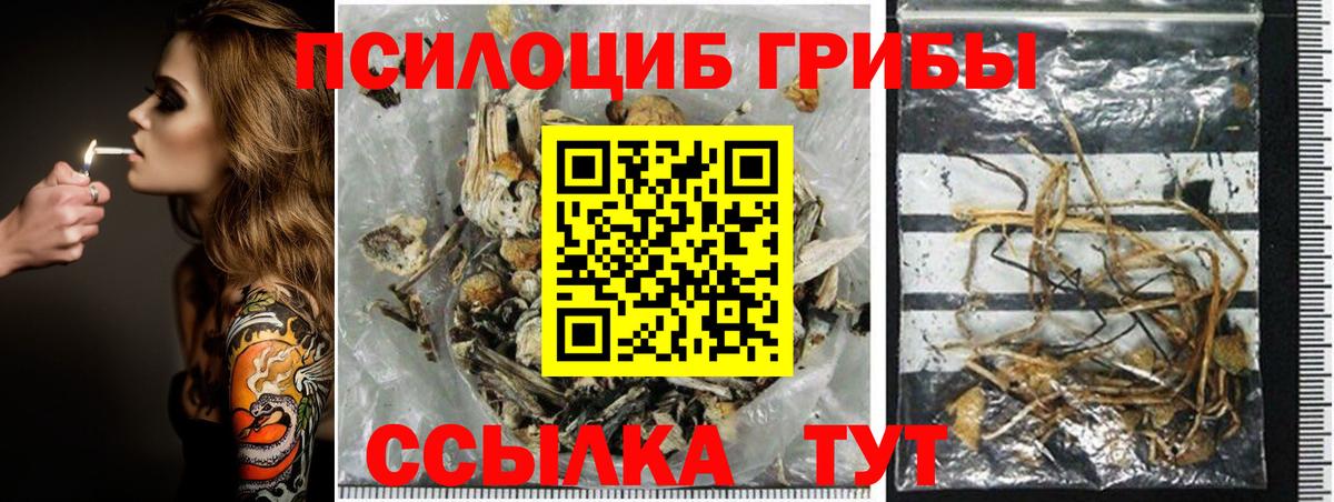 Галлюциногенные грибы мухоморы  Вход с VPN  Галлюциногенные грибы мухоморы  Рубцовск 