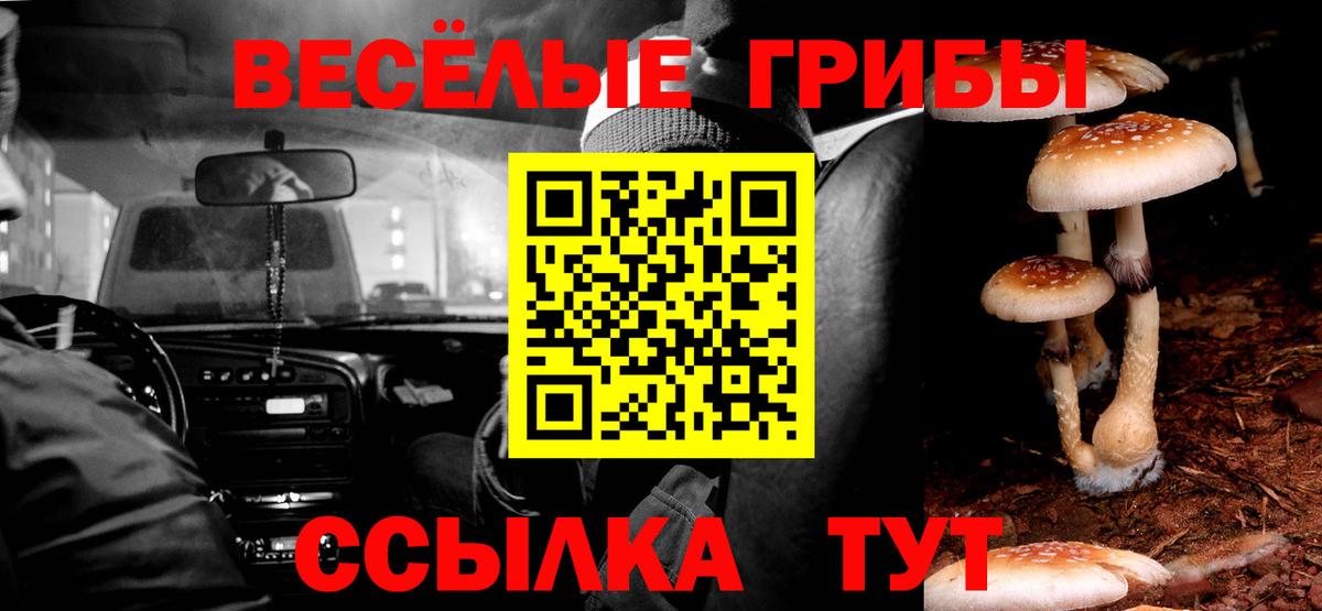 Псилоцибиновые грибы Magic Shrooms Рубцовск